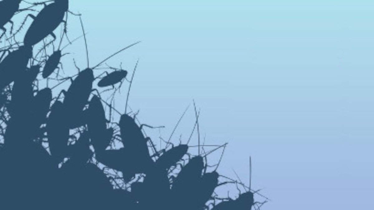 The Cockroach Revolution